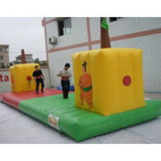 giant inflatable sports games